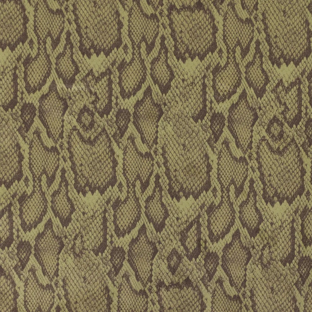 Printed Suede Scuba - Snake - Khaki